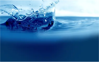 Hydration & Energy – The Missing Link