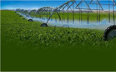 Unlocking Water’s Healing Properties